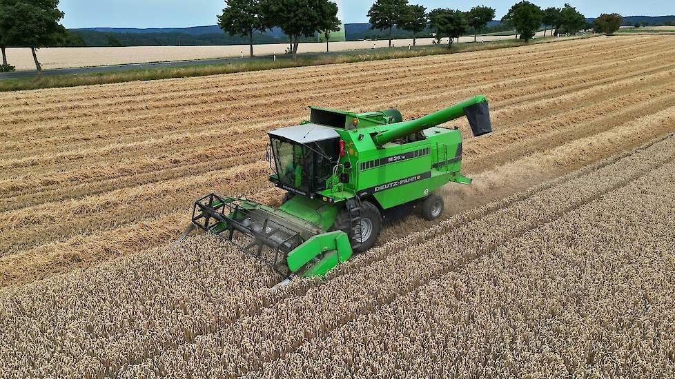 Tarwe dorsen | Deutz-Fahr M 36.10 | 2022