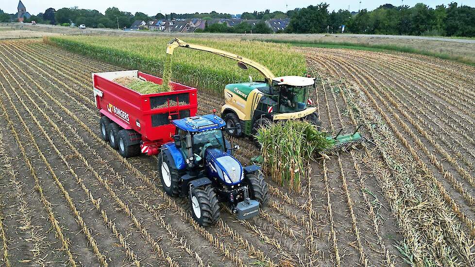 Mais Silage 2022 | Krone BiG X 680 + Fendt + New Holland | Bongers