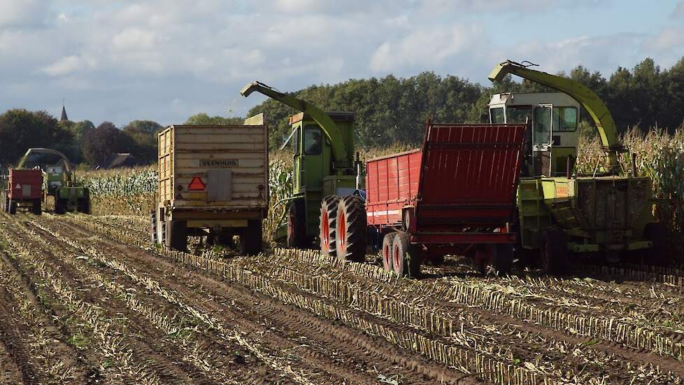 Claas Jaguar SF 60,Claas Jaguar SF 70 en&nbsp;Claas Jaguar SF 80