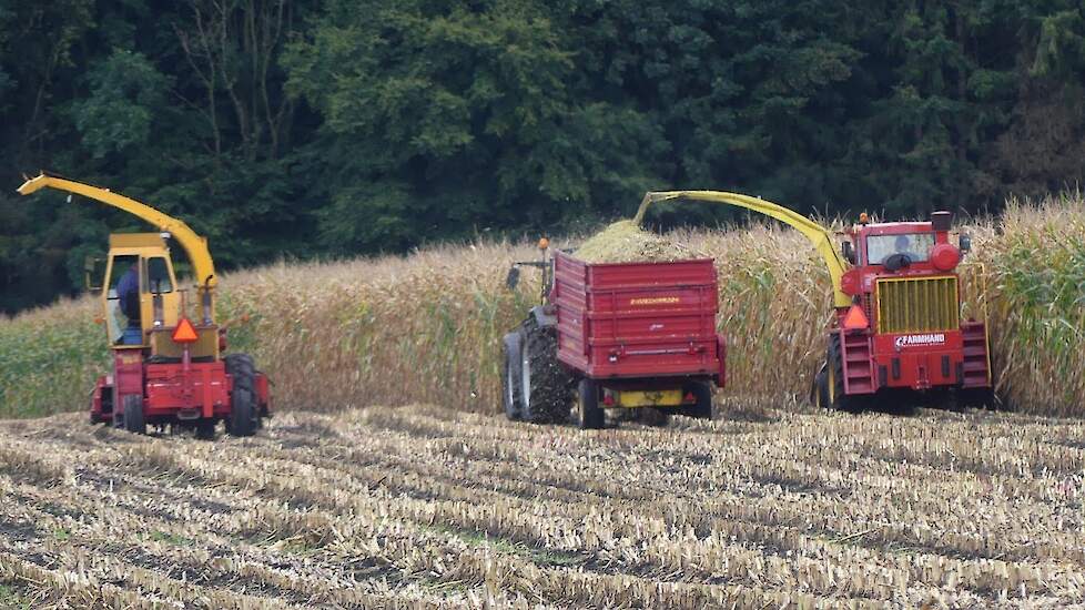 Farmhand F600  forage chopper and Fox 6350 in silagecorn