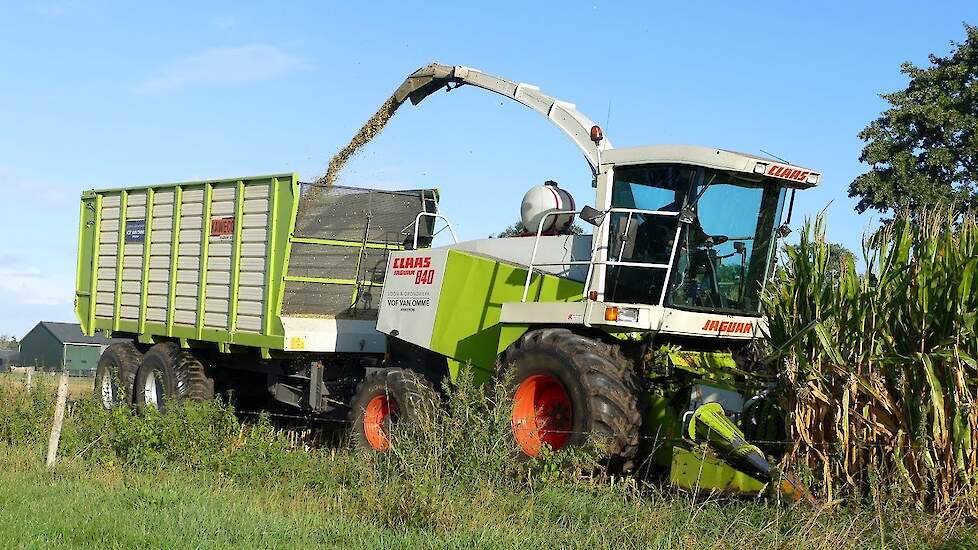 Mais Silage 2022 | Claas Jaguar 840 | Volvo L60F | Fendt | van Omme Wekerom | Maishakselen
