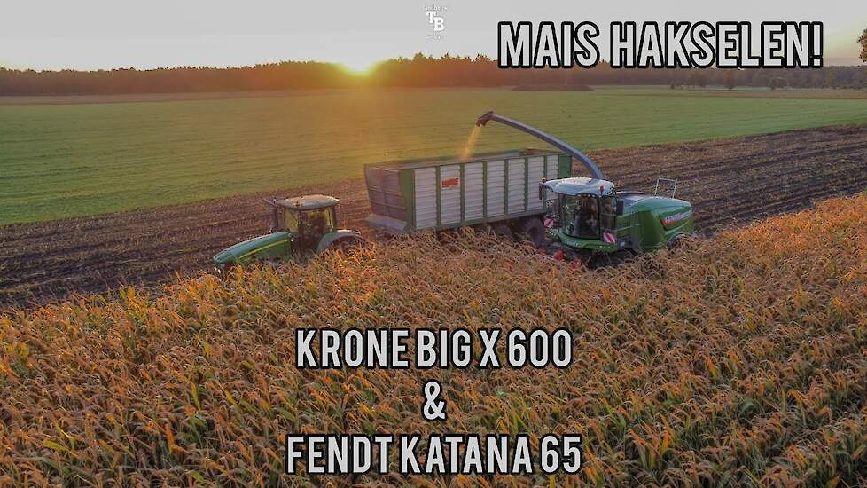 mais hakselen, met de Fendt katana 65 en de Krone big X 600! [Roeters & Bezu uit Een!] #harvest