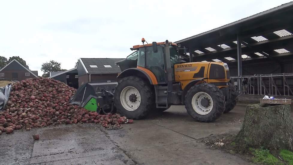 MAIS HAKSELEN VOEDERBIETEN SNIPPEREN RENAULT ATLES 936 RZ CLAAS ARION 660 CASE PUMA 185 CVX