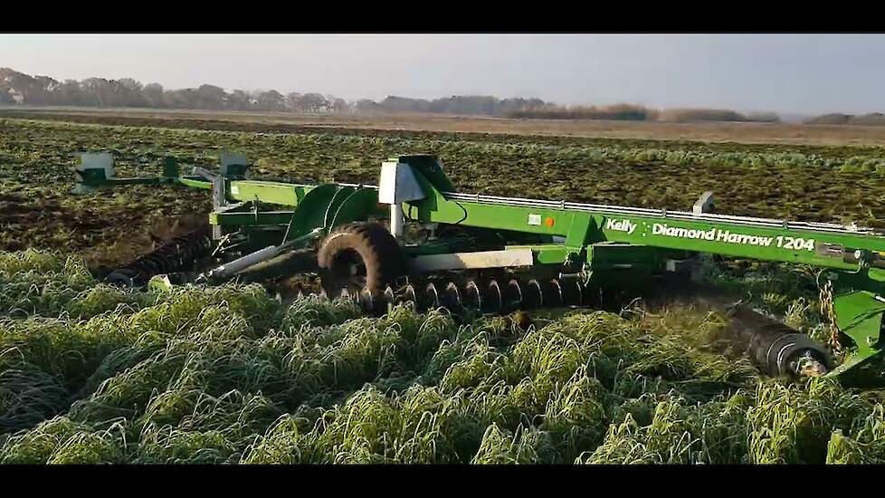 Japanse Haver verkleinen en inwerken met de Kelly Diamond Harrow