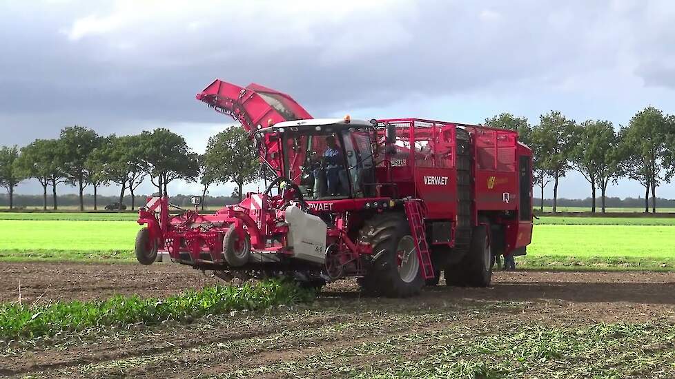 SUIKERBIETEN ROOIEN MET EEN VERVAET Q 616 FENDT 926