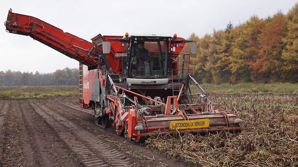 Aardappelrooi demo met de Dewulf Kwatro Trekkerweb potatoes