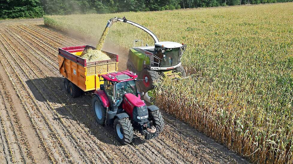 Mais Silage 2022 | Claas Jaguar 960 + Case IH | Pleizier & Timmer
