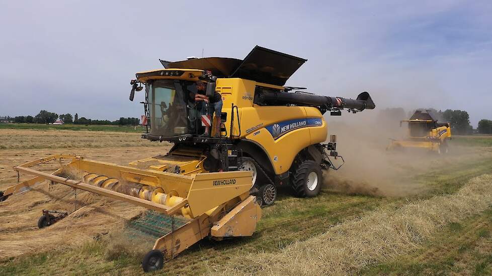 New Holland CR8.90 Revelation Twin Rotor in het graszaad