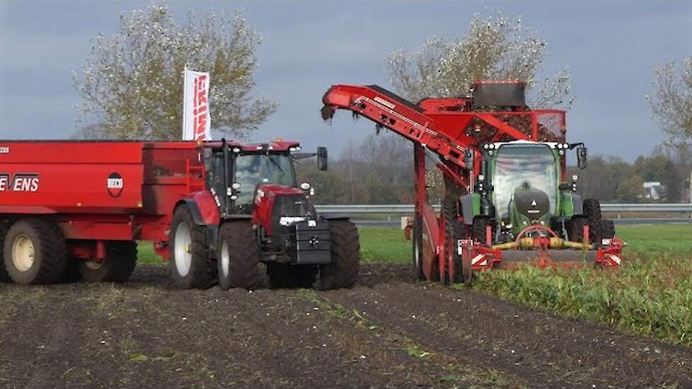 Fendt 516 Vario - Grimme Rootster 604 rooimachine