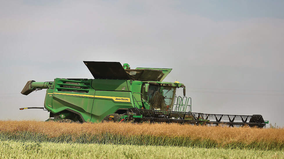 De X9 1000, hier in het koolzaad, is iets bescheidener uitgevoerd, met 639 pk maximaal en een graantank van 14.800 liter. Maar is ook nog imposant.