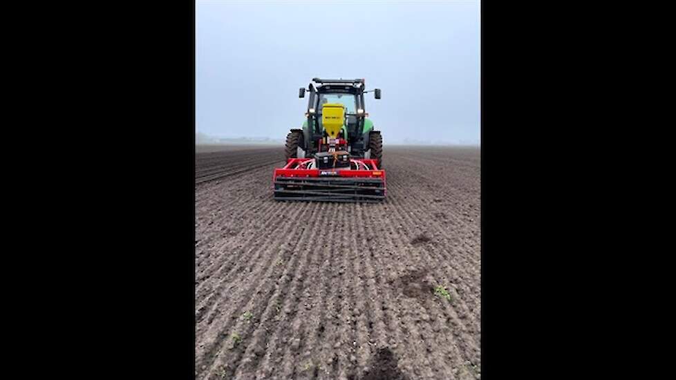 Uienzaaien op Drentse zand grond