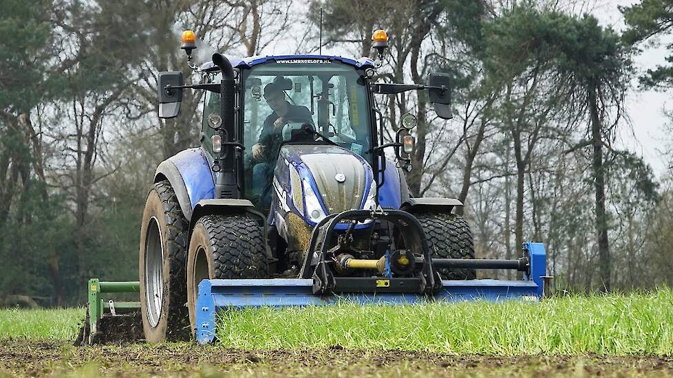 Mulching and Rotory Tilling Cover Crop | New Holland + Celli Pioneer + Votex | Blaauwendraat | 2023