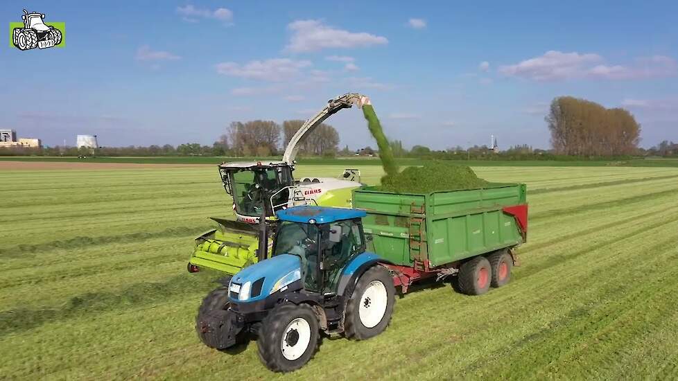 Weer volop in het gras