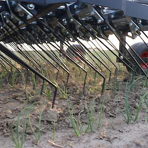 Eggen doe je preventief, drukt Den Herder zijn toehoorders meerder malen op het hart. &ldquo;Dat betekent vroeg beginnen en om de 4 &agrave; 5 dagen terugkomen.&rdquo; In de drukke voorjaarsperiode is dat tijd die niet overal gemist kan worden.