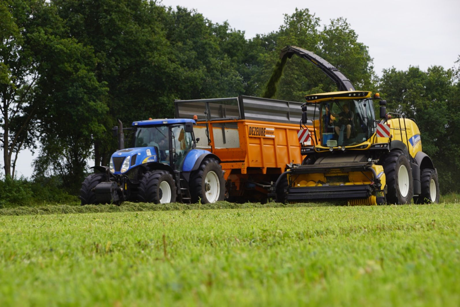 New Holland › Gras hakselen met New Holland FR 550 Trekkerweb.nl