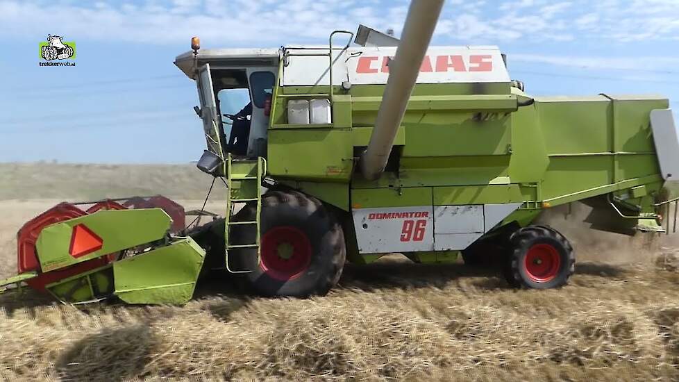Claas Dominator 96 in de zomergerst