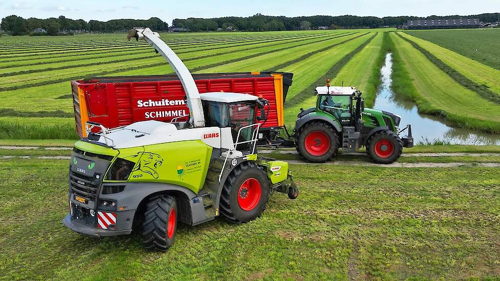 Grass Silage | 2x Claas Jaguar 950 + 4x Fendt + 2x Volvo | Schimmel | 2023