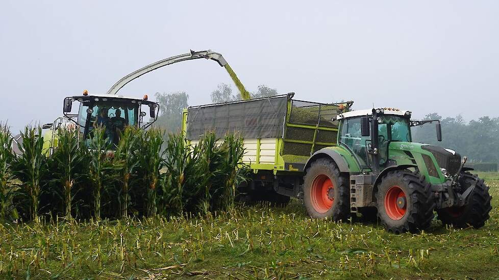 Mais Silage 2023 | Claas + Fendt + John Deere | van Spijkeren Doornspijk | Maishakselen