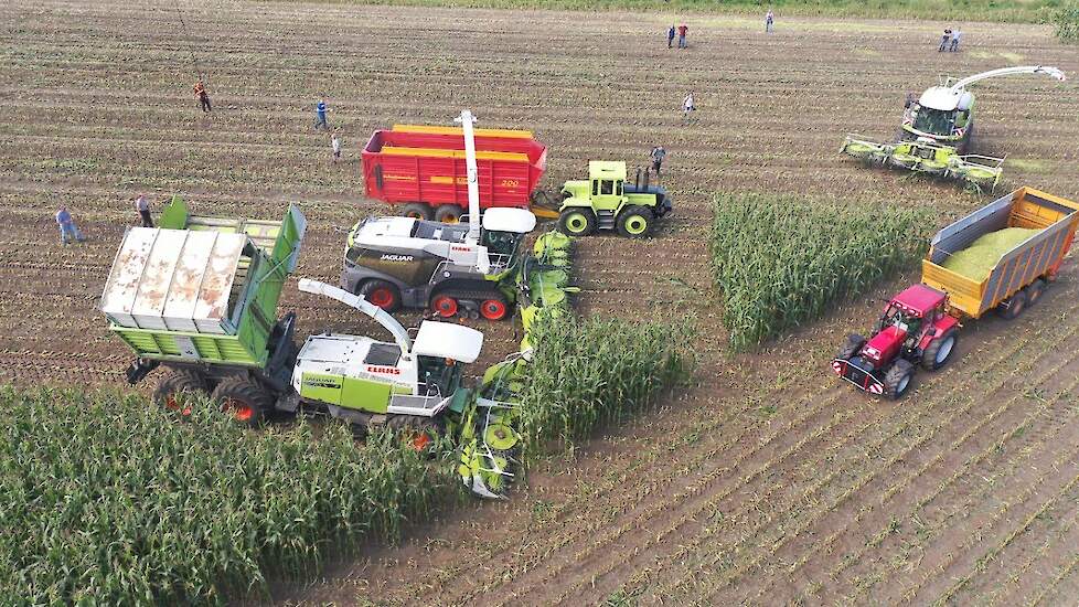 Claas Jaguar 50 Year Self-Propelled Forage Harvester-maïshakselaar