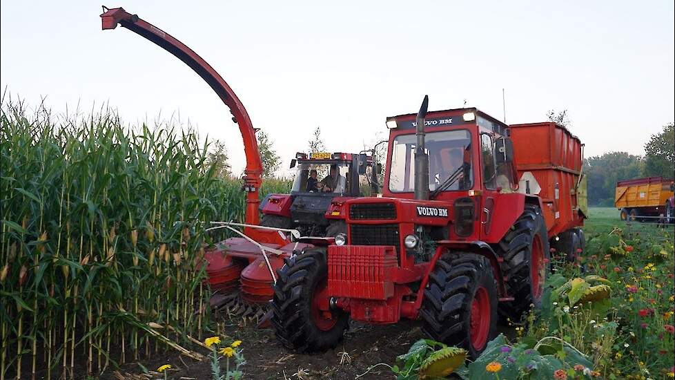 Case International 1455XL + Volvo BM 2654 | Mais silage 2023 | Nijkerk | Maishakselen | Kemper