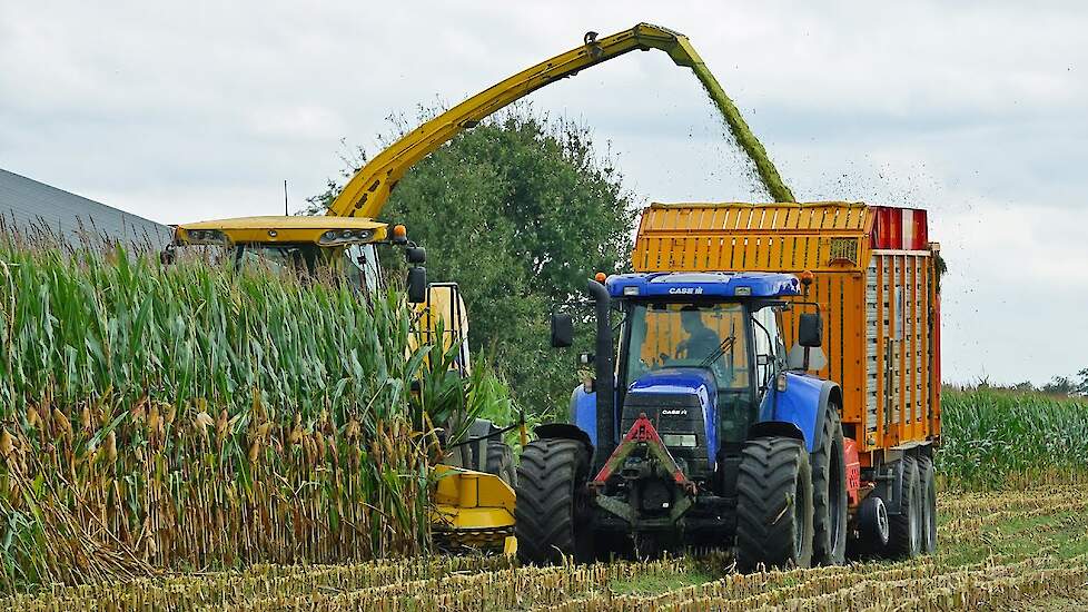 Mais Silage 2023 | New Holland FR9060 + Case IH | Marlage