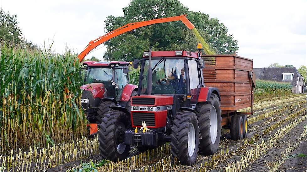 Maïs hakselen met Case IH Maxxum 125 en Kuhn MC 180 S Quattro