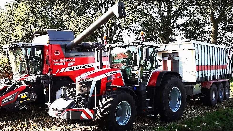 Van Helmond Loonbedrijf dorst korrelmaïs met MF 7370 Beta-combine