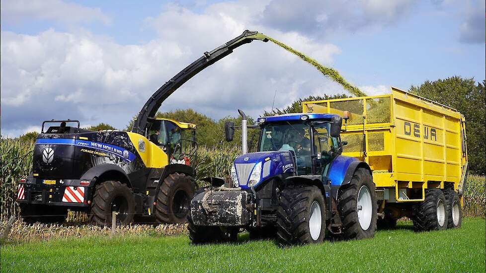 Maïs 2023 | New Holland FR650 + Ljungby L15 | Dunnink Staphorst | Maïs hakselen | Harvesting maize