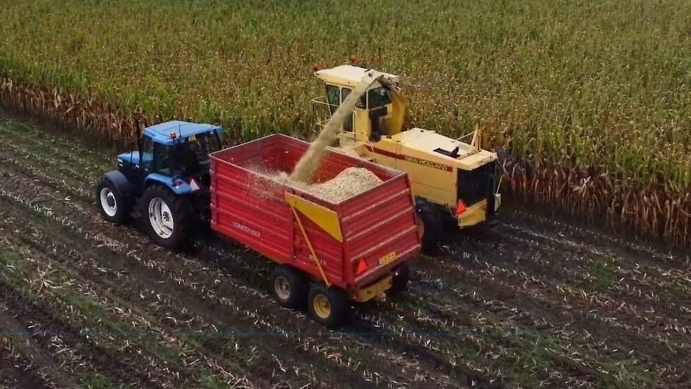 Maïs hakselen met New Holland 2305