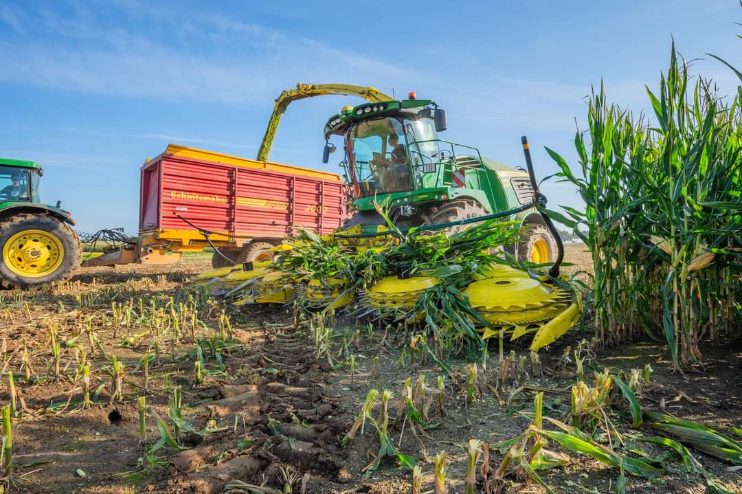 John Deere 9900i met Scherercorncracker in de maïs Trekkerweb.nl