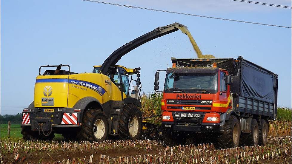 Maïs hakselen met een New Holland FR550