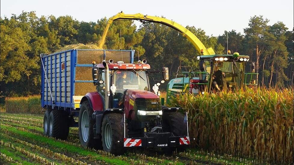 Mais 2023 | John Deere 7480i + 3x Case IH | van der Ven Zeeland | Mais hakselen | Harvesting maize