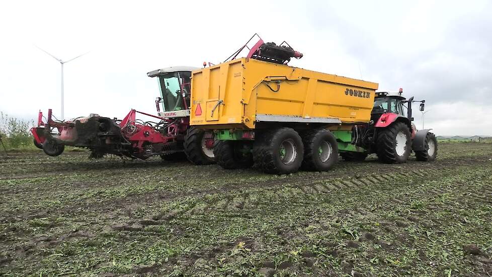 Bieten oogsten 2023 Agrifac Hexa WKM Steyr 6150 CVT