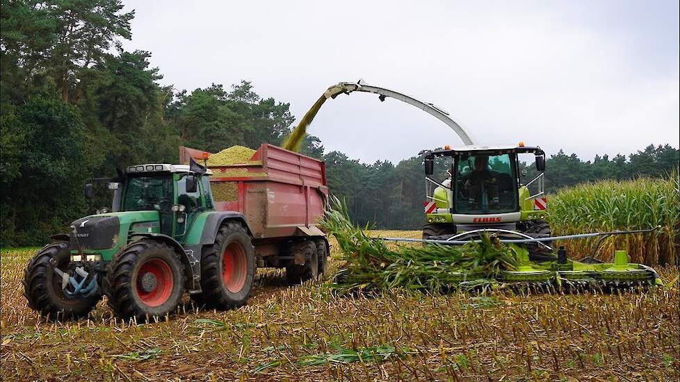 Mais 2023 | Claas + Fendt 926 + JCB 419S | Vering biogas Heiden (D) | Maishakselen | Kuilwerk