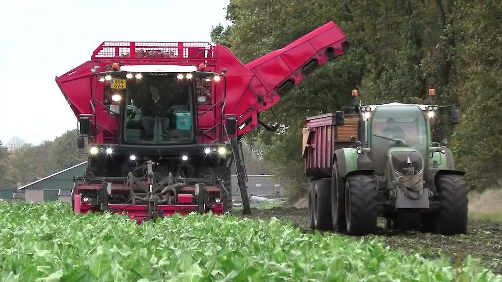 Bieten rooien 2023 Holmer OptiTraxx met rupsen