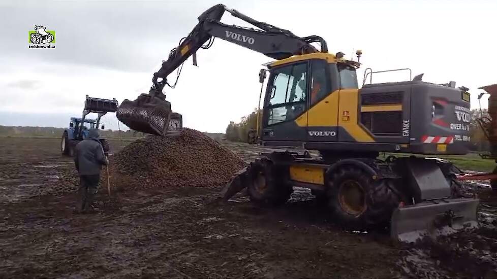 Zetmeelaardappelen op transport naar Avebe
