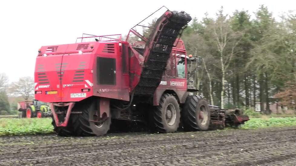 Bieten rooien met een Vervaet 925 en Claas Axion, 810 Claas Arion 510 en Claas Arion 650