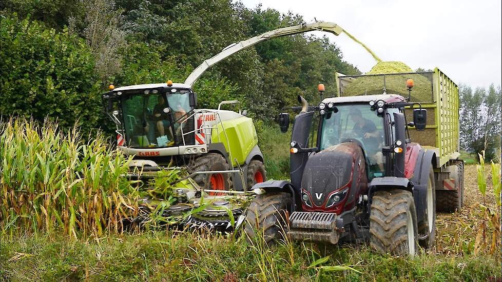 Mais 2023 | Claas Jaguar 960 + Valtra T234 | Dreierink Terwolde | Mais hakselen | Harvesting maize