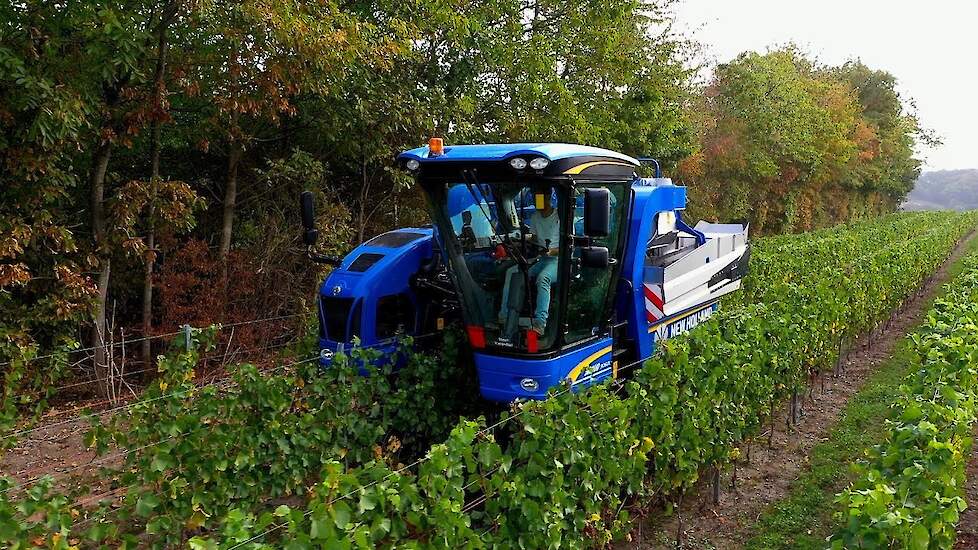 New Holland Braud 9060l - Grape harvesting - druivenoogstmachine bij de Apostelhoeve in Maastricht