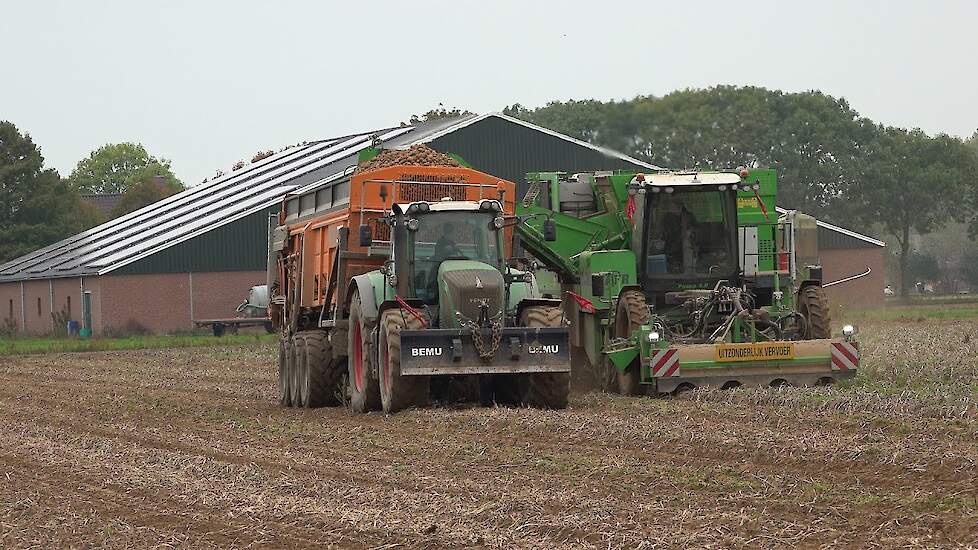 Aardappels rooien met de AVR Puma 4.0