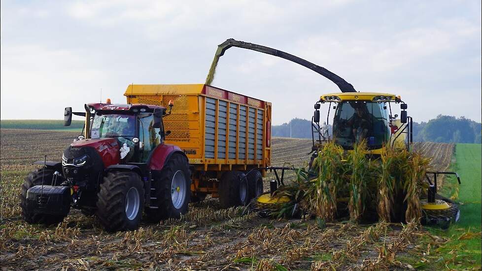 Ma&iuml;s 2023 | New Holland FR600, Valtra, Case IH | NLR Agri | Nap Ede |  Ma&iuml;s hakselen | Ma&iuml;s silage
