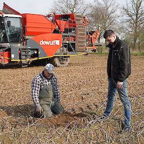 Bas Westerveld bekijkt samen met medewerker Henrie Slo&euml;tjes wat er nog aan aardappelen in de ruggen zit. Veruit de meeste knollen zijn vergaan. De intacte knollen zijn echter nog opvallend hard. Her en der zit er een kiem aan.
