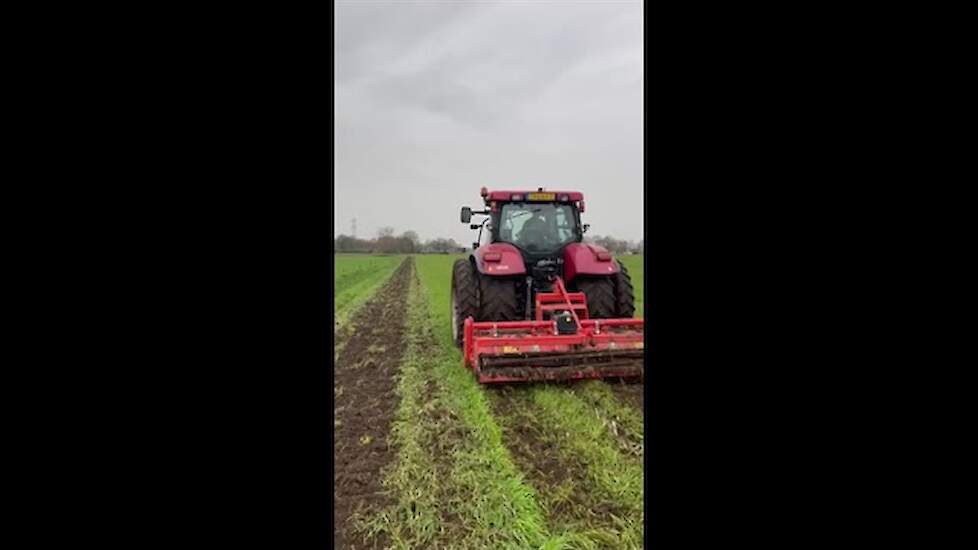 Case Maxxum 120 Powershift oud stoppelland aan het frezen in Holsloot