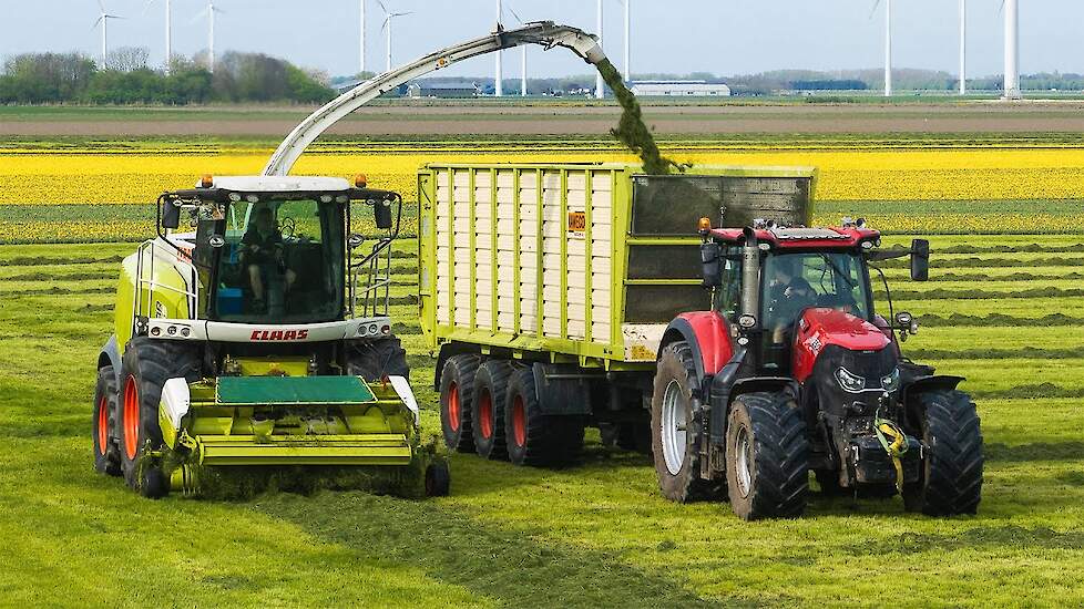 Grass Silage | TUNED Claas Jaguar 965  | Case Optum + Claas Axion | Pleizier en Timmer