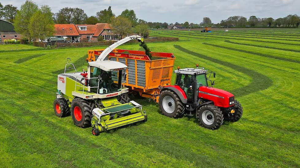 Grass Silage | Ten Voorde Agrarische Dienstverlening + Wijers van de Steeg | 2024