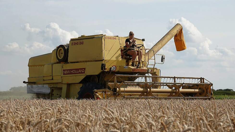 Classic Combine | New Holland Clayson 8060 cabrio | Classic wheat harvest | 1970s combine