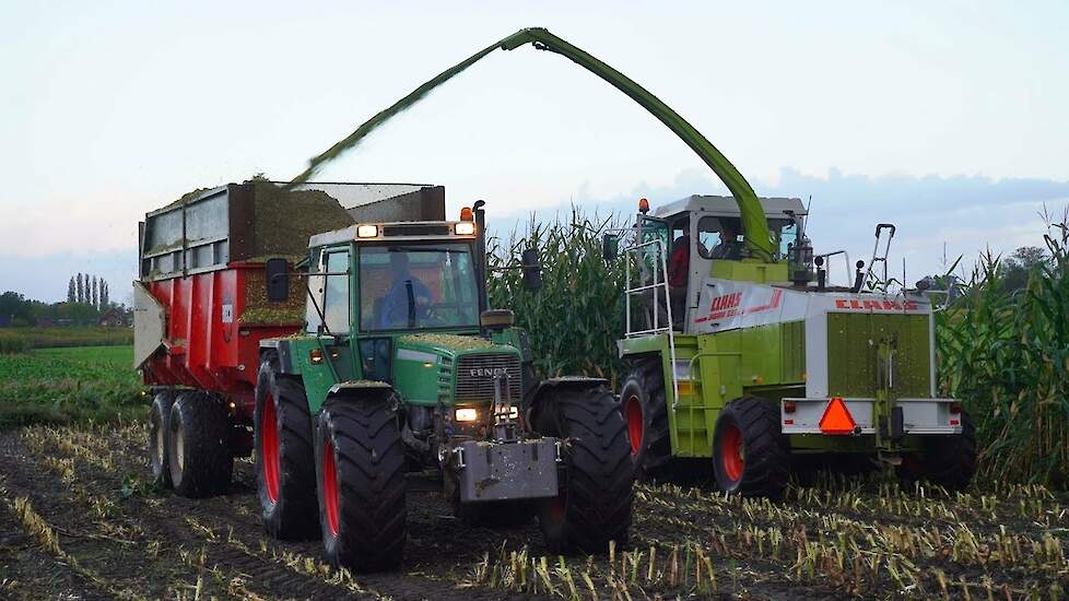 Mais 2024 | Claas Jaguar 695SL | Fendt 311 | Kneus en Co Wekerom | Case International | Maishakselen