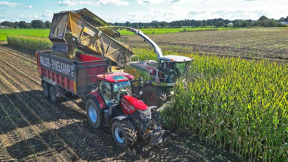 Mais Silage 2024 | Claas Jaguar 940 Bunkerhakselaar + Case IH + Fendt | Mulder-Eykelkamp