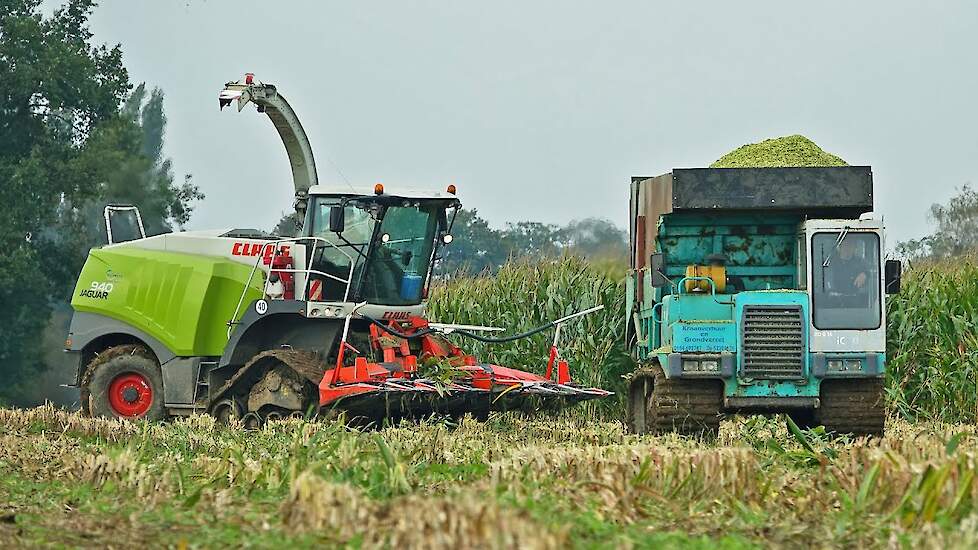 Mais Silage 2024 | Claas Jaguar 940 on Tracks + John Deere | Riphagen Vaassen
