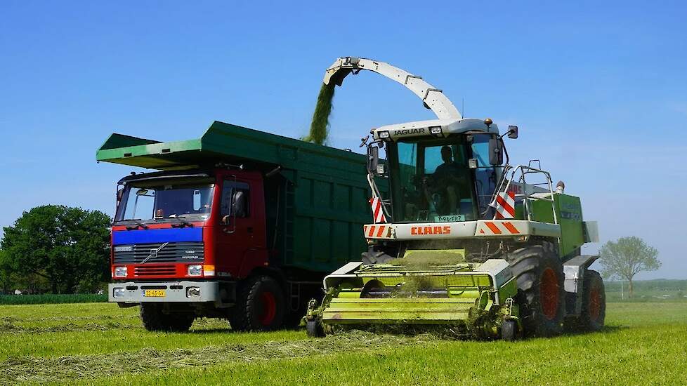 2025 | Terberg FL1350 | Claas Jaguar 900 | Gras hakselen | Houtackers Susteren | Grass silage